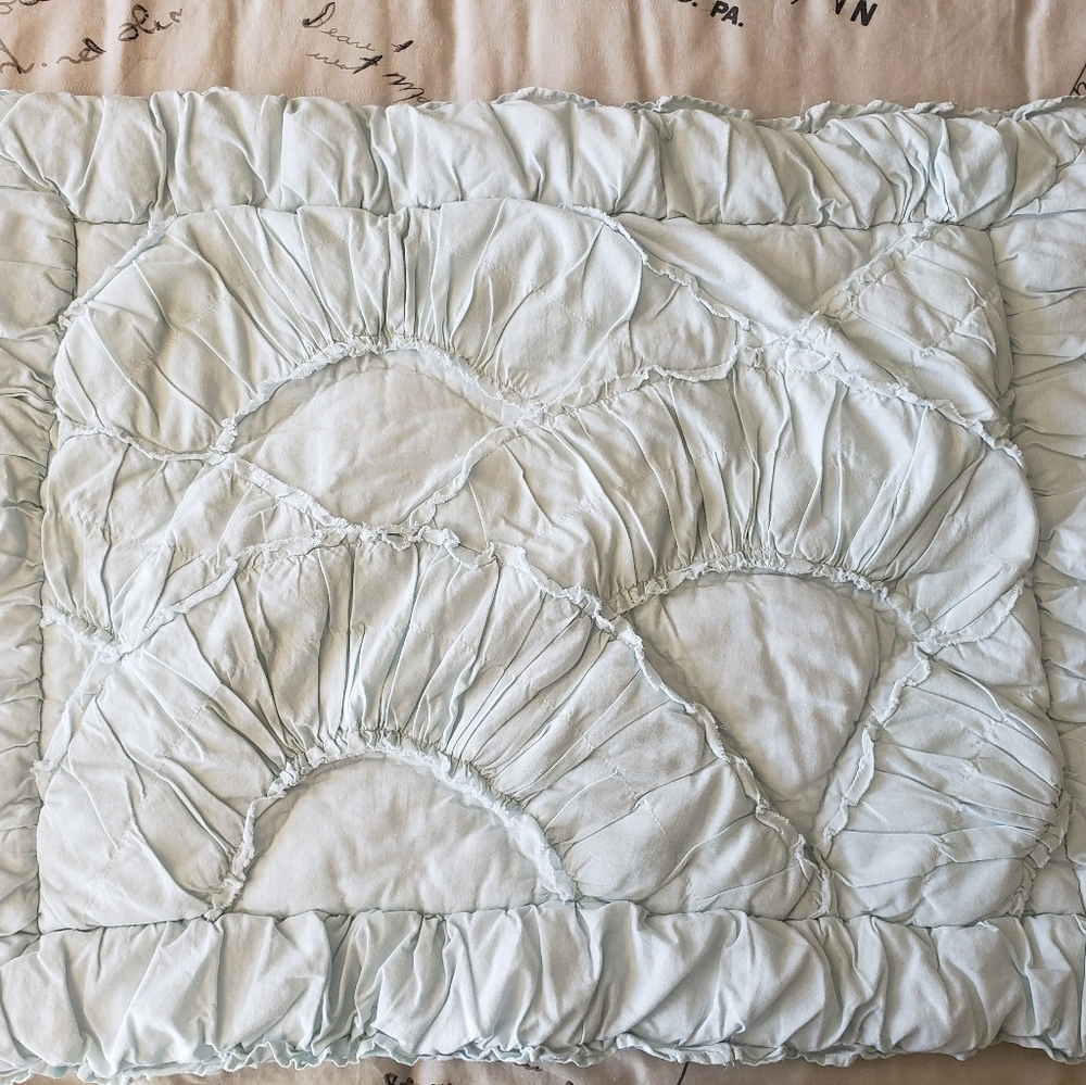 {PB Teen} Emily & Meritt Parisian Petticoat Standard Sham
